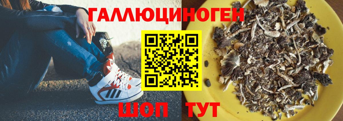 Саров  Марихуана  Меф МЯУ МЯУ   Вход с VPN  Гашиш 