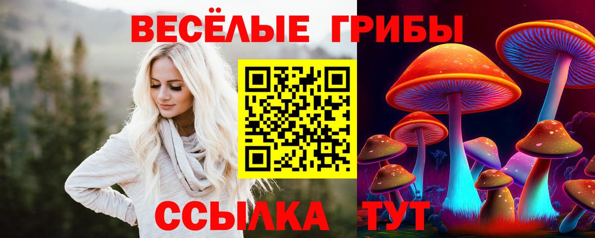 Галлюциногенные грибы GOLDEN TEACHER Саров